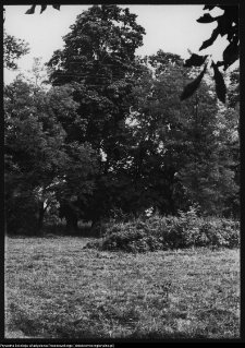 Strabla, park pałacowy