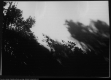 Strabla, park pałacowy