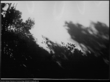 Strabla, park pałacowy