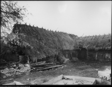 Milejczyce, zagroda ul. Januszewicza 14