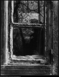 Milejczyce, ul. Januszewicza 10