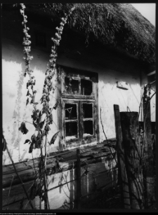 Milejczyce, ul. Januszewicza 10