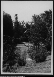 Ciechanowiec, staw pałacowy