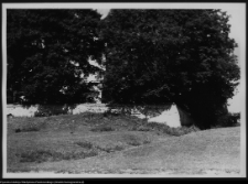 Suraż, ogrodzenie kościoła