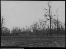 Strabla, widok na park i kości&oacute;ł