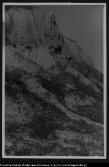 Drohiczyn, grodzisko