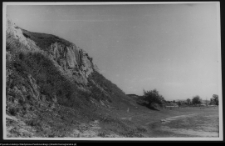 Drohiczyn, grodzisko