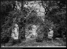 Kamienna Stara, kościół