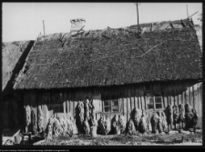 Pomiany, chata wiejska