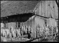 Pomiany, chata wiejska