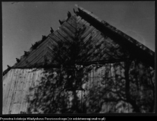 Netta, chata wiejska