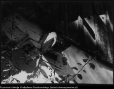 Netta, chata wiejska