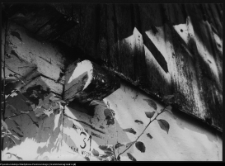 Netta, chata wiejska