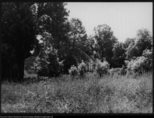 Hołny Mejera (Majera), dwór