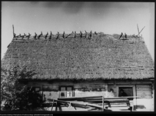 Pruska Wielka, chata wiejska