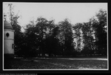 Rudka, park przypałacowy