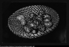 Pisanki (Turna Duża)