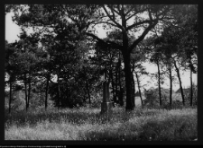 Sejny, cmentarz katolicki