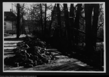 Białystok, Pałac Branickich, park