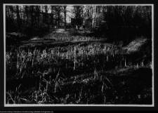 Białystok, Pałac Branickich, park