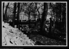 Białystok, Pałac Branickich, park