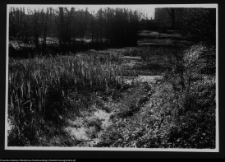 Białystok, Pałac Branickich, park