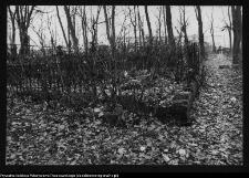 Białystok, cmentarz Ewangelicko-Augsburski