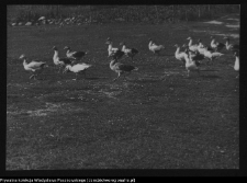 Podlasie, historyczny krajobraz ruralistyczny