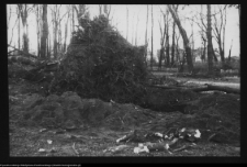 Podlasie, historyczny krajobraz ruralistyczny