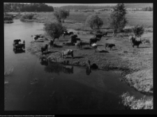 Podlasie, historyczny krajobraz ruralistyczny