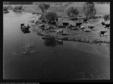 Podlasie, historyczny krajobraz ruralistyczny