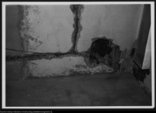 Białystok, pałac Hasbacha