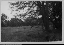 Białystok, park przypałacowy