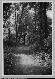 Białystok, park przypałacowy