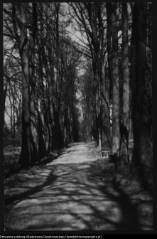 Białystok, park przypałacowy