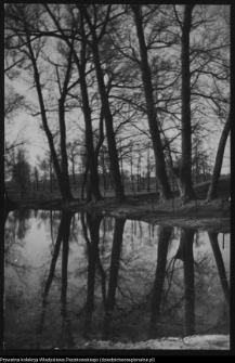 Białystok, park przypałacowy