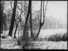 Białystok, park przypałacowy