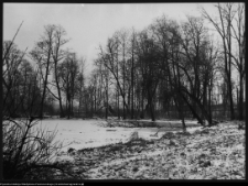 Białystok, park przypałacowy