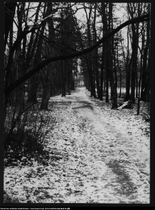 Białystok, park przypałacowy