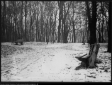 Białystok, park przypałacowy