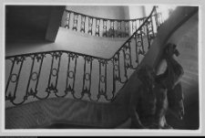 Białystok, odbudowa Pałacu Branickich