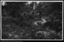 Białystok, niewłaściwe użytkowanie zabytkowego parku przy Pałacu Branickich