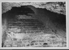 Białystok, odbudowa Pałacu Branickich